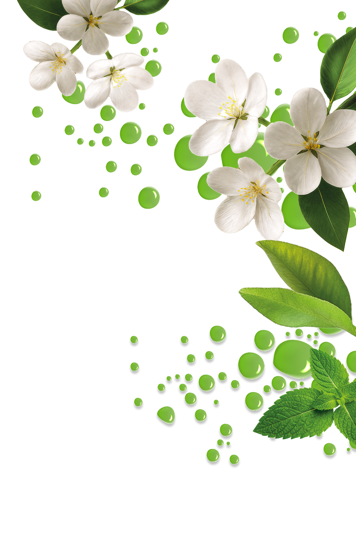 Fiori