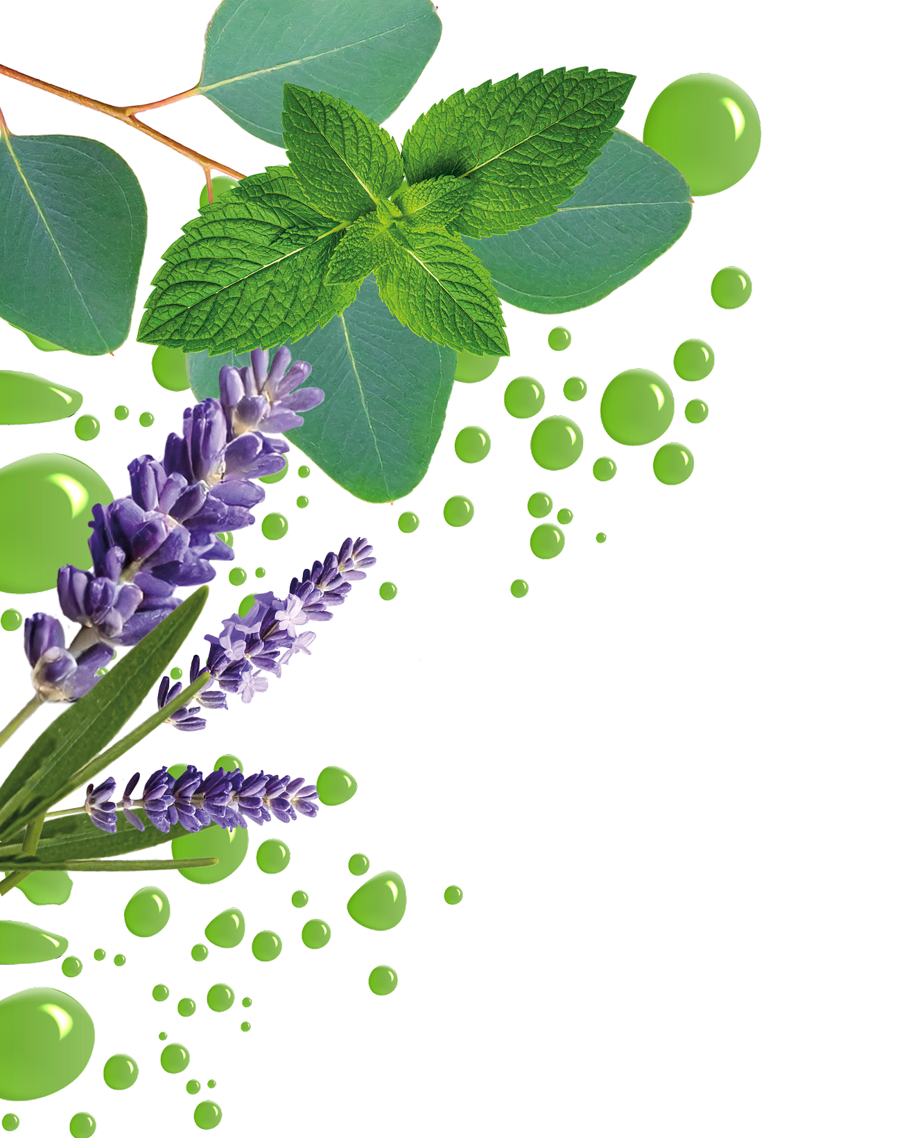 Fiori